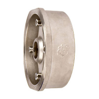 Клапан обратный дисковый RUSHWORK - Ду80 (ф/ф, PN40, Tmax 300°C, сталь)