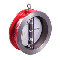 Клапан обратный межфланцевый RUSHWORK - Ду125 (ф/ф, PN16, Tmax 110°C, затворки нерж.сталь)